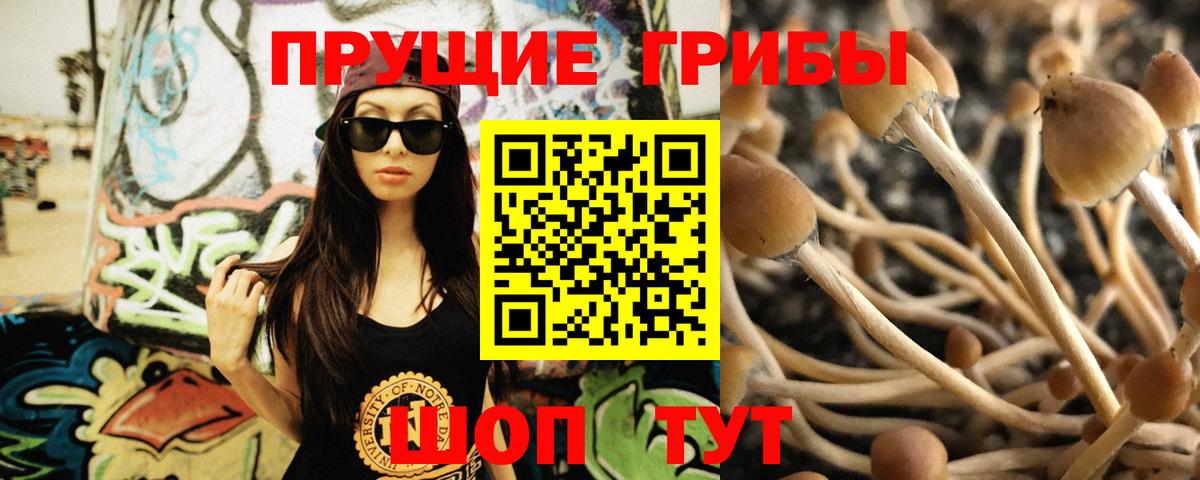 Псилоцибиновые грибы GOLDEN TEACHER  Вход с VPN  Нижнеудинск 